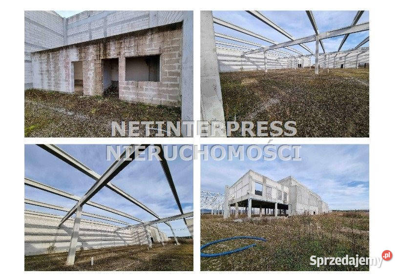 sprzedaży gruntu Nowy Targ 59972 metry małopolskie sprzedam