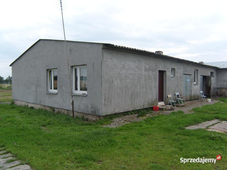 ferma drobiu kurnik kurniki hala produkcyjna zachodniopomorskie Sławno