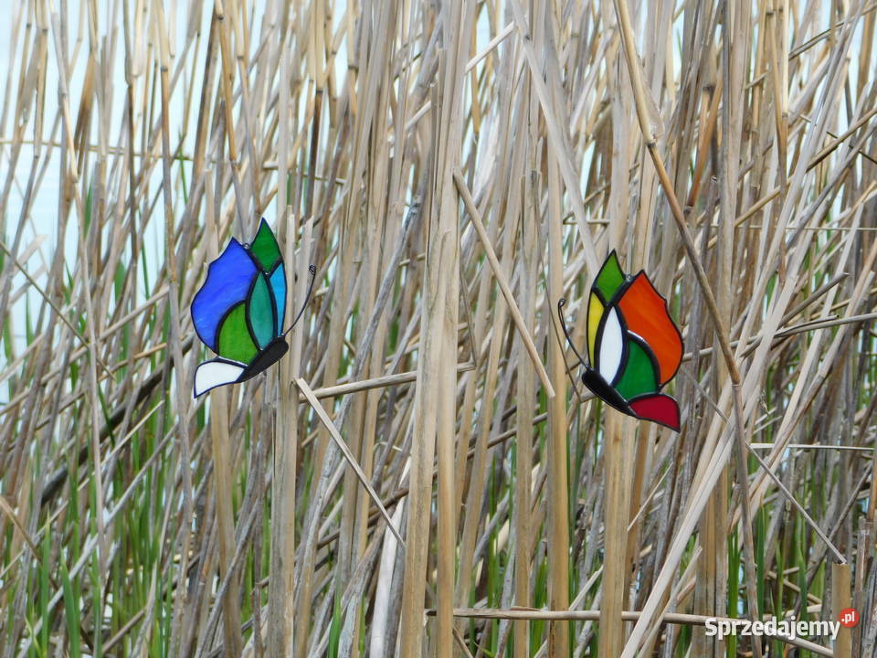 Rękodzieło witraże motylki witrażowe zestaw Bugaj