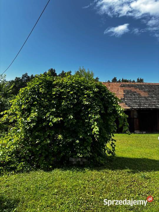 Dom na sprzedaż Przyszowa
