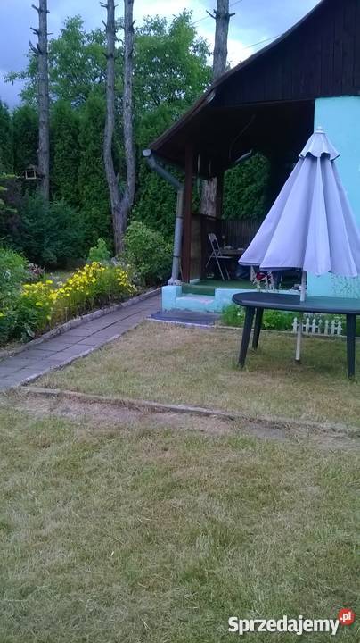 Ogródek Działkowy w MysłowiceLarysz na sprzedaż
