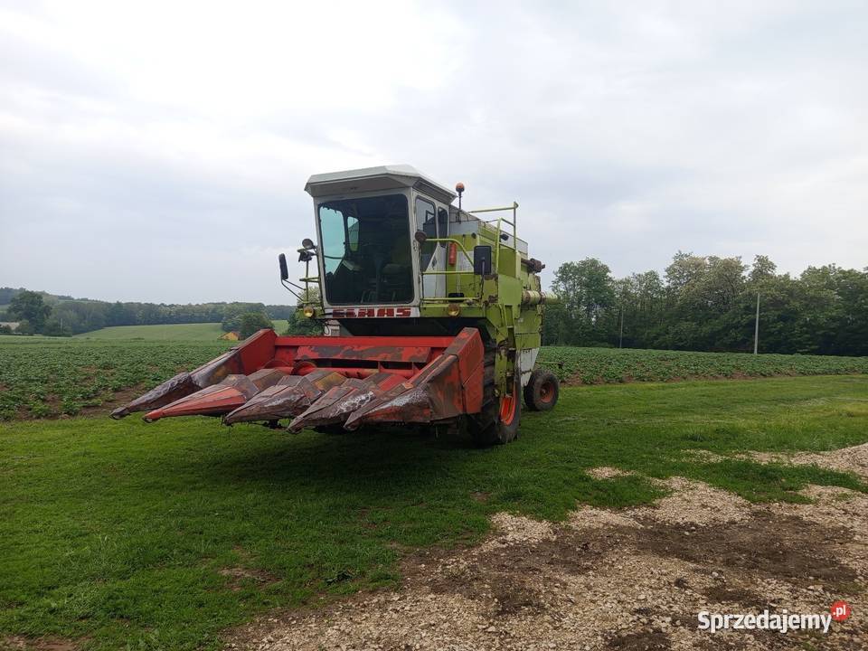 Claas dominator 66heder 36przystawka do Kazimierza Wielka