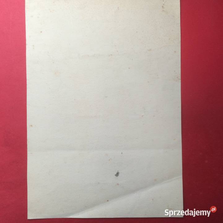 1363 Dyplom 3 Gładki Szczecin