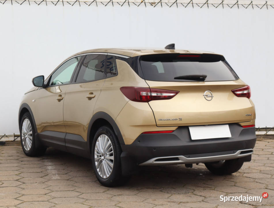 Opel Grandland 12 Turbo przyciemniane szyby Grandland X Łódź