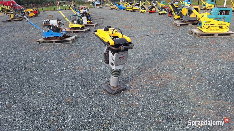 Skoczek Stopa WACKER NEUSON BS 502 plus 11in Trzebnica