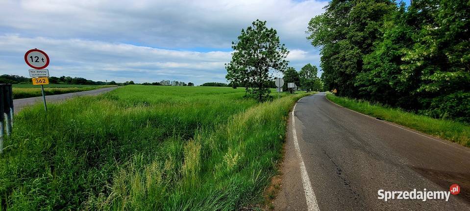 Działka Rolna 37800 m2 gm Kąty Wrocławskie asfalt Nieruchomości Skałka