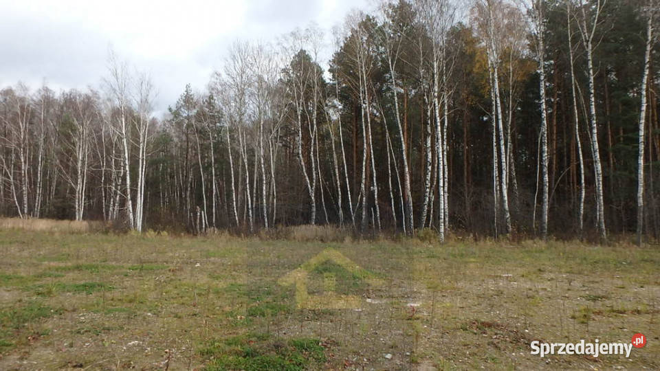 Działka budowlana w gminie Wiazowna Żanecin