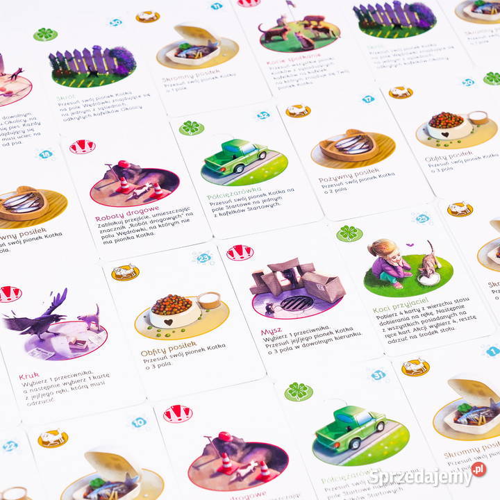 O kocie w kłopocie Rodzinna gra o poszukiwaniu Poznań