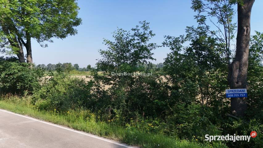 Działkę sprzedam 1300 metrów Borek 1300m2