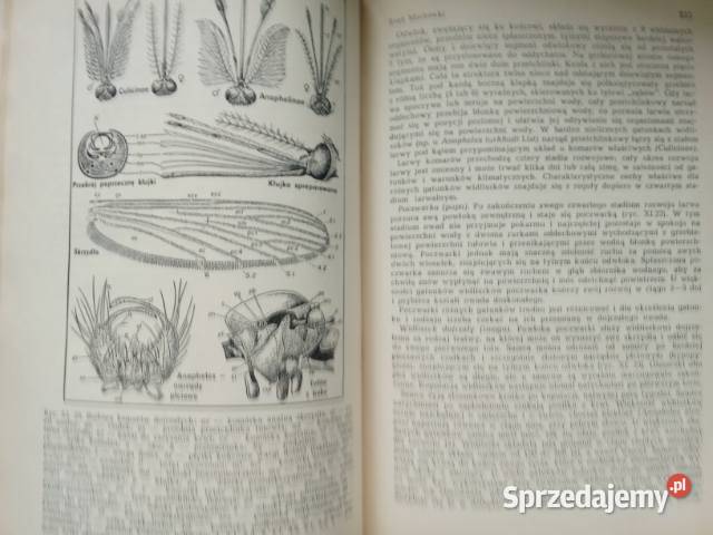 Medycyna tropikalna Hunter medycynachoroby