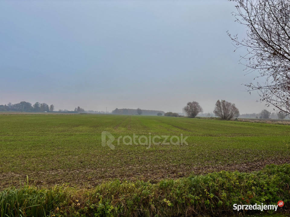 Grunt Drewnica Wierzbowa 3012m2