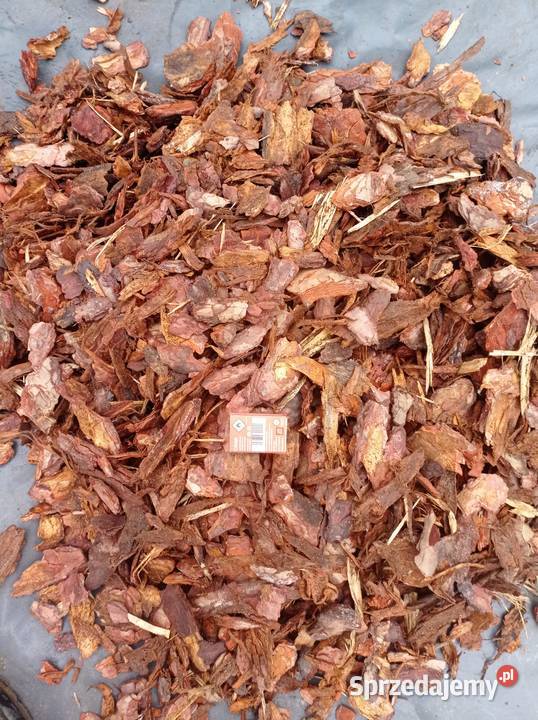 Kora sosnowa ozdobna dekoracyjna Jaworzno