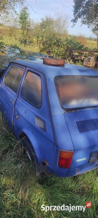 Maluszek do ogrodka Andrespol