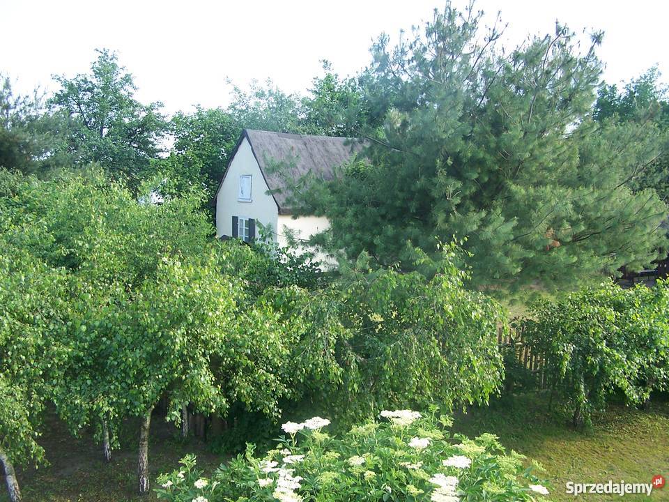 Sprzedam siedlisko 80m2