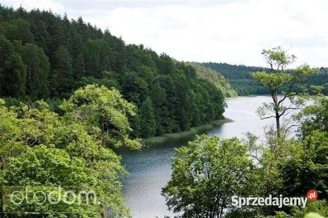 Działki budowlane w lesie wodą Sprzedaż Purda