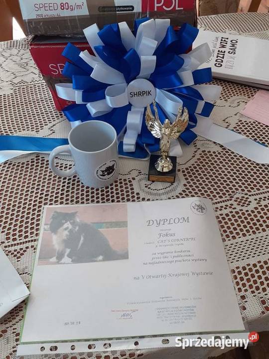 Reproduktor PERS Zamość