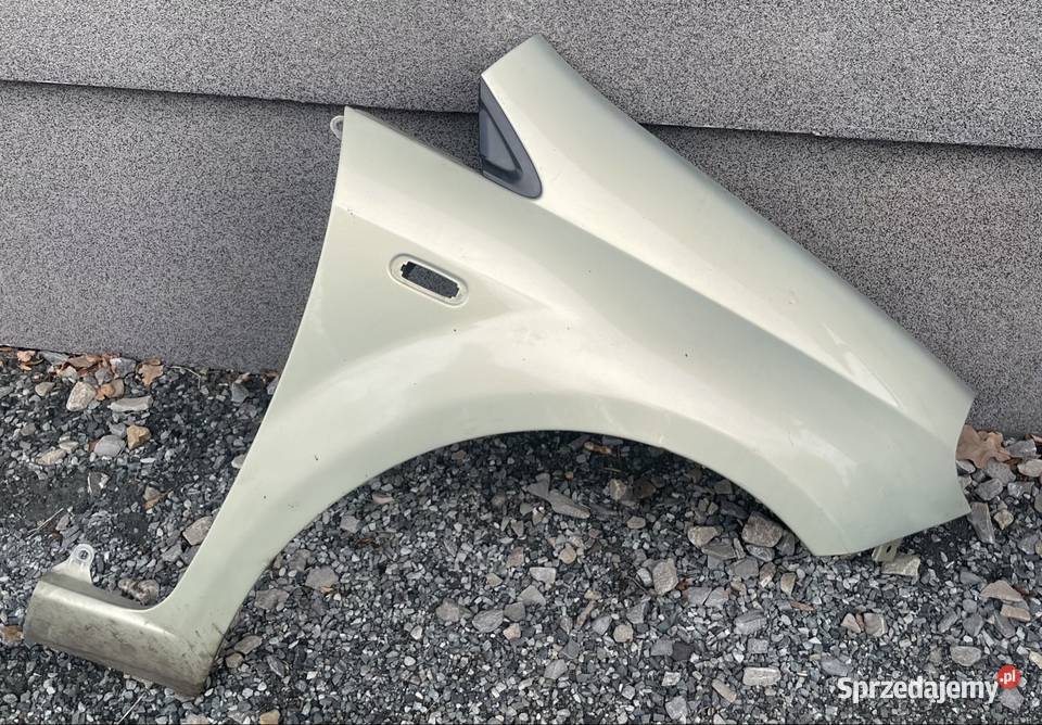 Blotnik grande punto 783A