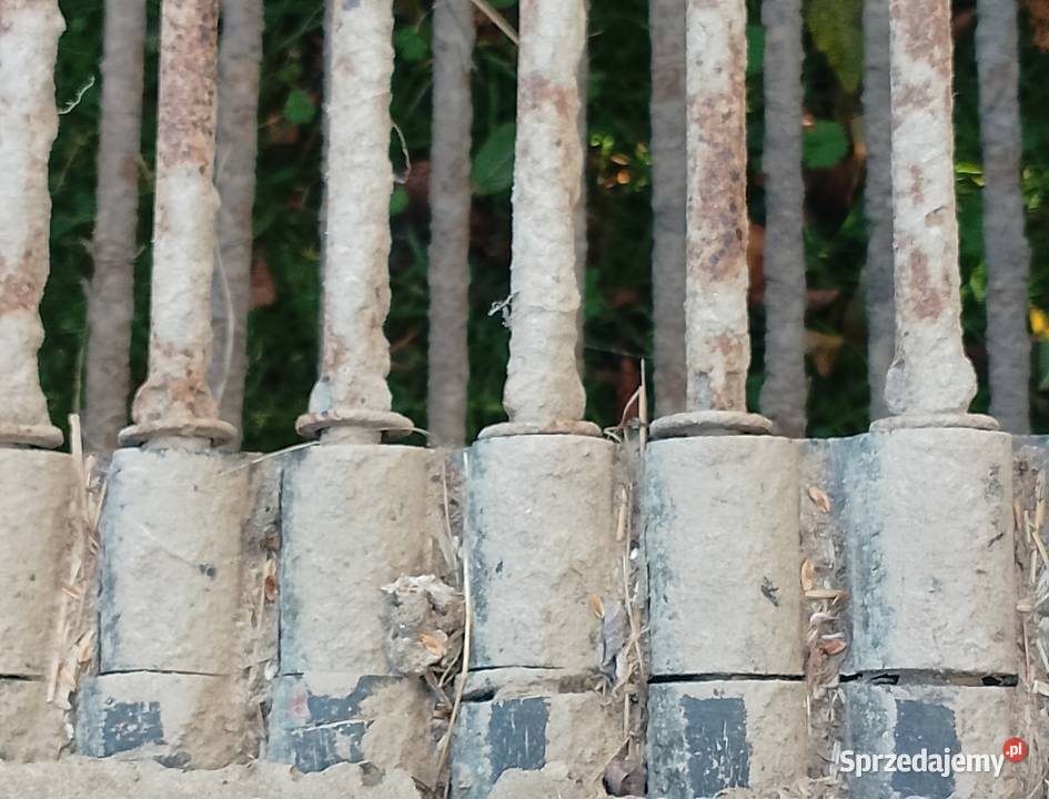 Kopaczka elewatorowe 2rzedowa nowa taśma wielkopolskie Drożki