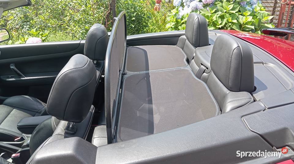 Wiatrołap windshot peugeot 307cc uszkodzony ale Pozostałe Jaroszowice