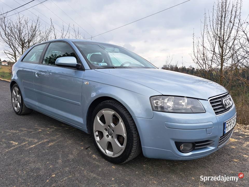 Audi A3 8P 16 MPI z LPG nieuszkodzony Audi Nowy Sącz
