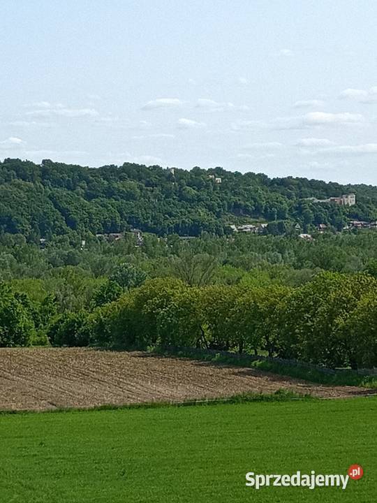 Działka 3ha widok Kazimierz dolny