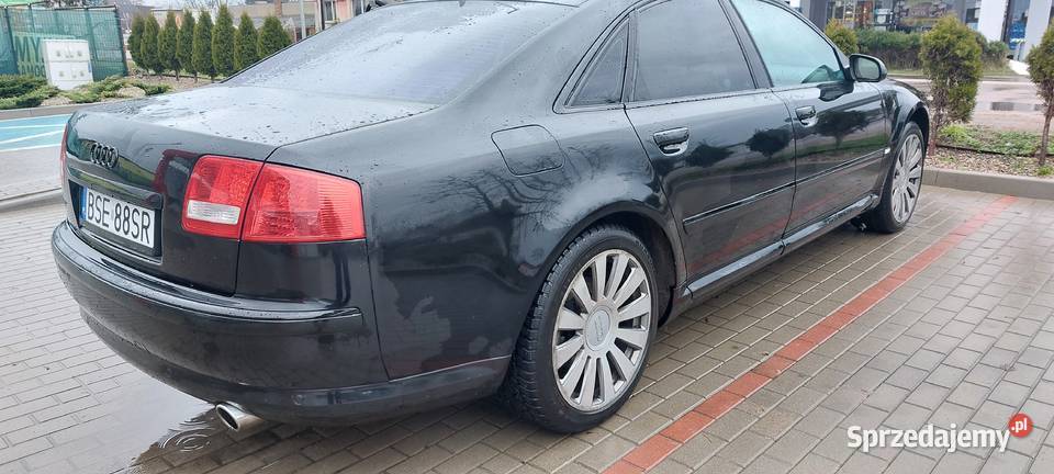 Audi a8 d3 42 zamiana Sejny