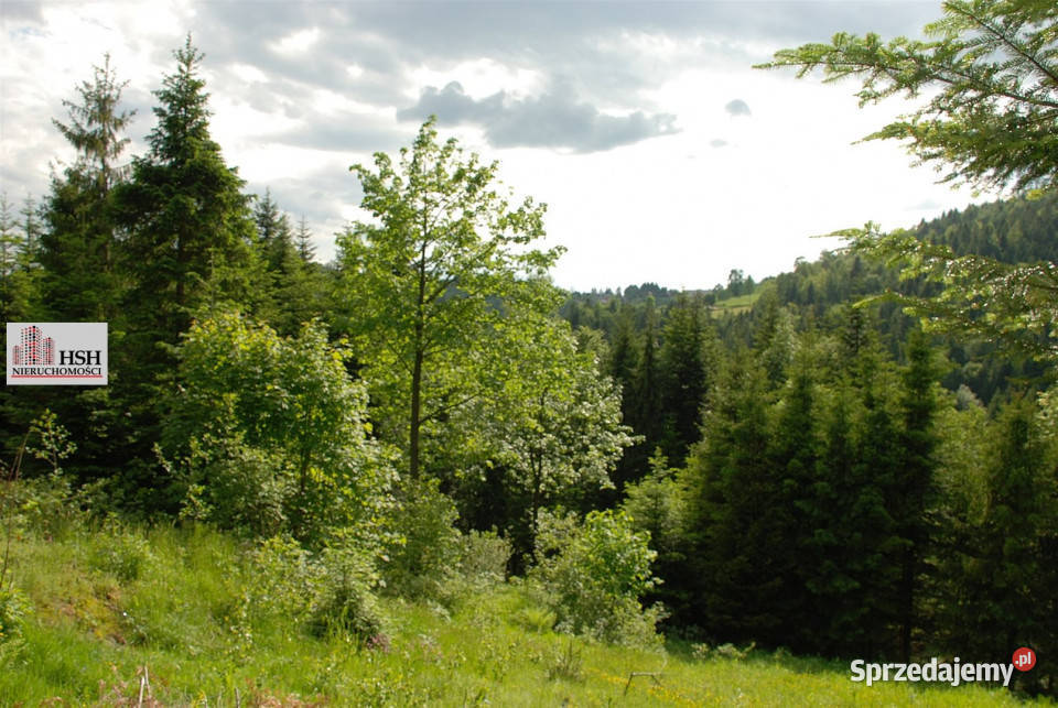 Działka do sprzedania Maków Podhalański 14000m2 szambo