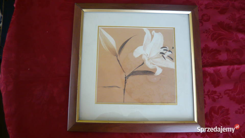 Obrazek śląskie Myszków