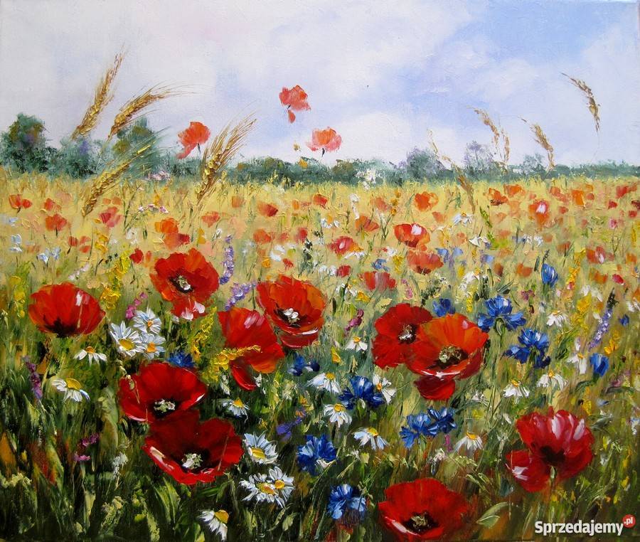 MAKOWA ŁĄKA obraz olejny 60X50 kwiaty pejzaż pomorskie Gdańsk