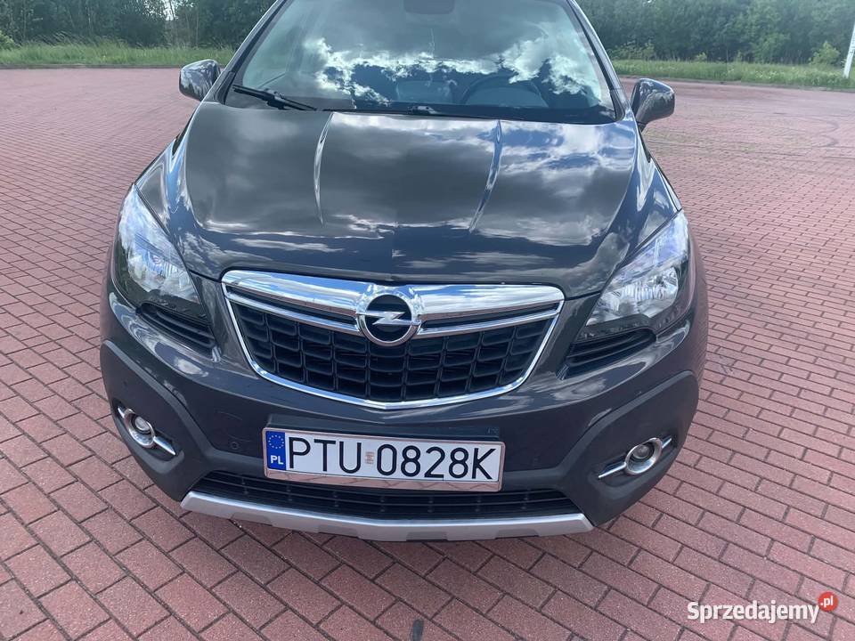 MOKKA wielkopolskie Turek sprzedam