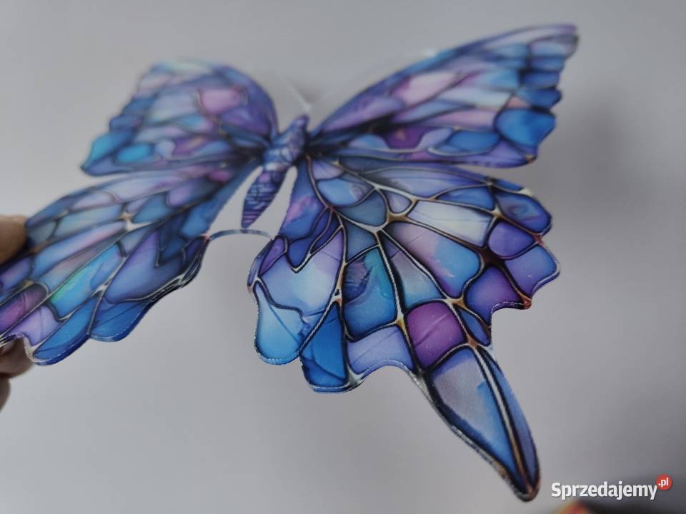 Motyl motylek nowy witraż witrażyk dekoracja Płock