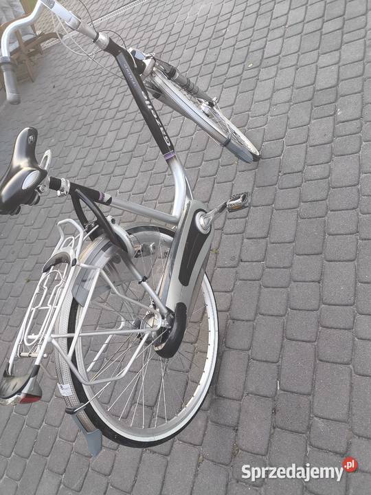 Rower gazelle Dobrodzień