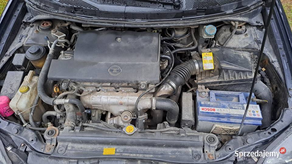 Nissan P12 343000km mazowieckie Łaskarzew