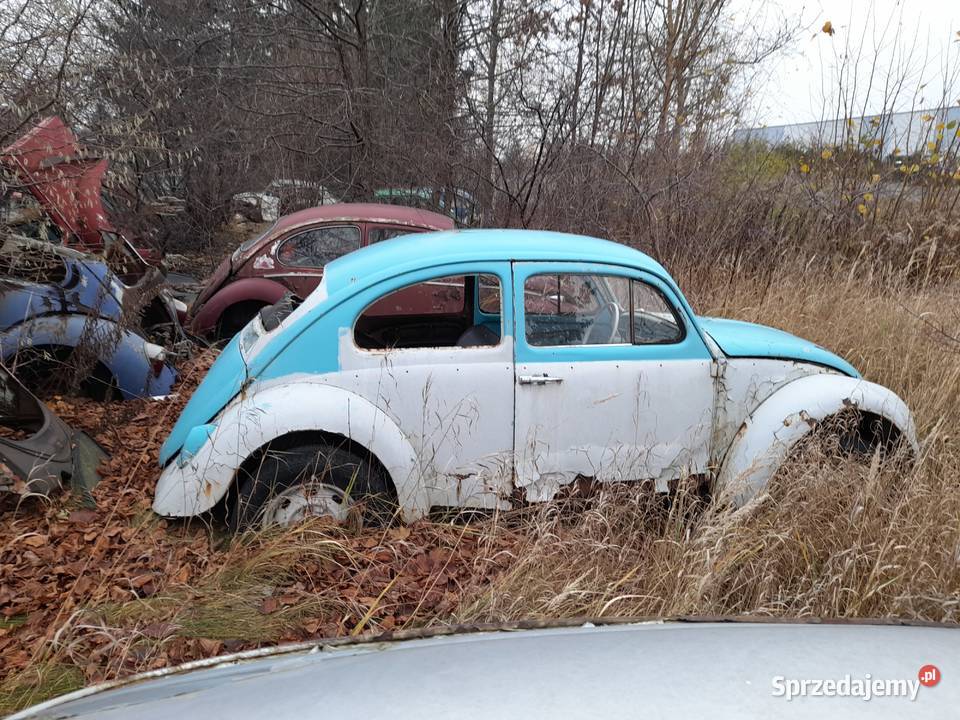 vw garb pomnik reklama projekt części kujawsko-pomorskie Bydgoszcz