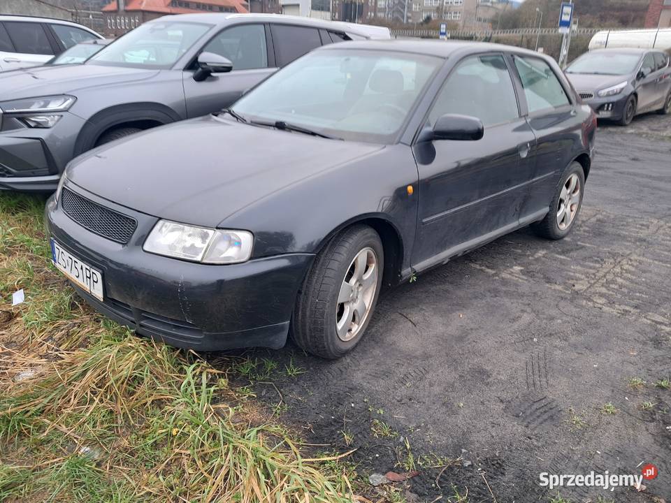 Audi A3 Zarejestrowana Tanio A3 Szczecin