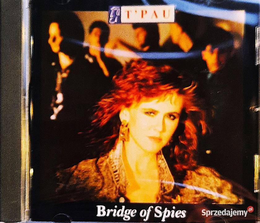 Album CD Barbara Streisand Barry Gibb Bee Gees podkarpackie Dębica