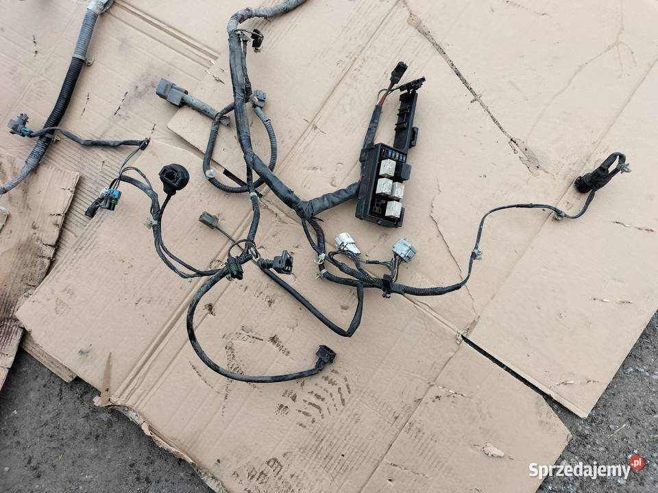 OPEL AGILA A 10 TERMOMETR WIĄZKA INSTALACJA Kamień-Kolonia