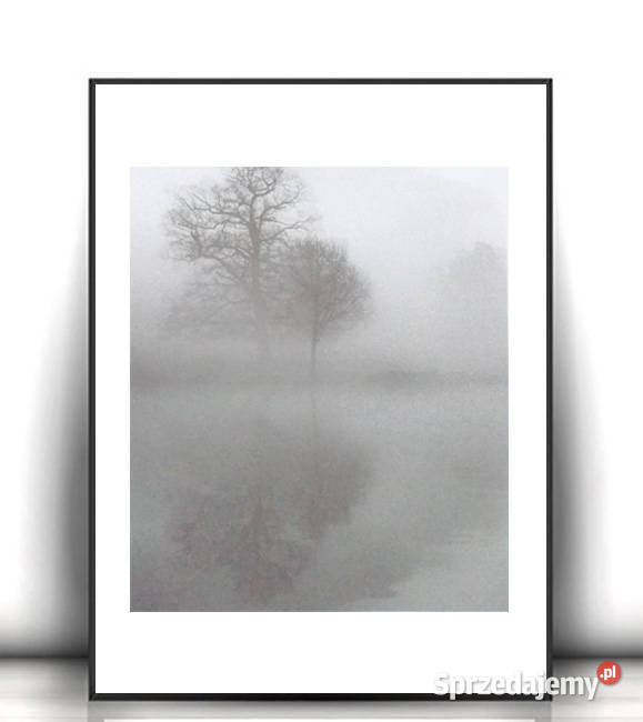 biało czarny pejzaż z drzewem szary plakat A4 warmińsko-mazurskie Olsztyn
