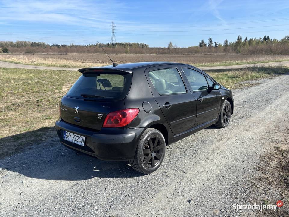 Peugeot 307 20 hdi 107 224000km Stargard