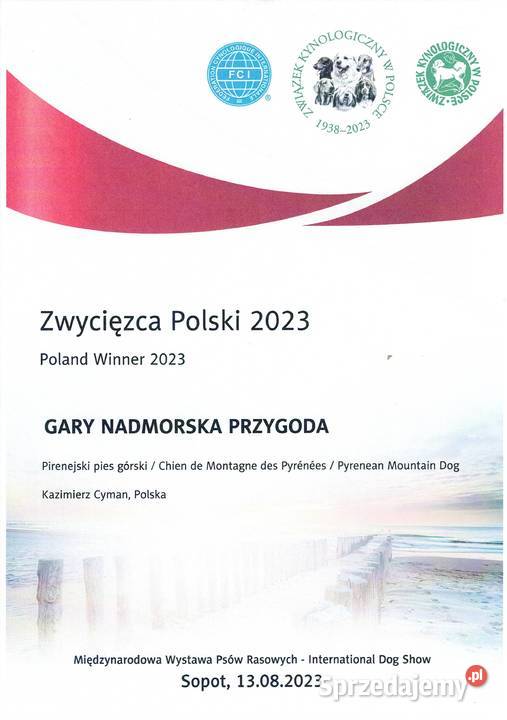 Berneński pies pasterski Pirenejski pies górski Żukowo