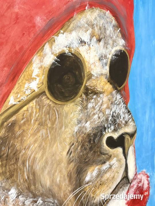 Lew abstrakcja śnieżnego kota Duszniki-Zdrój