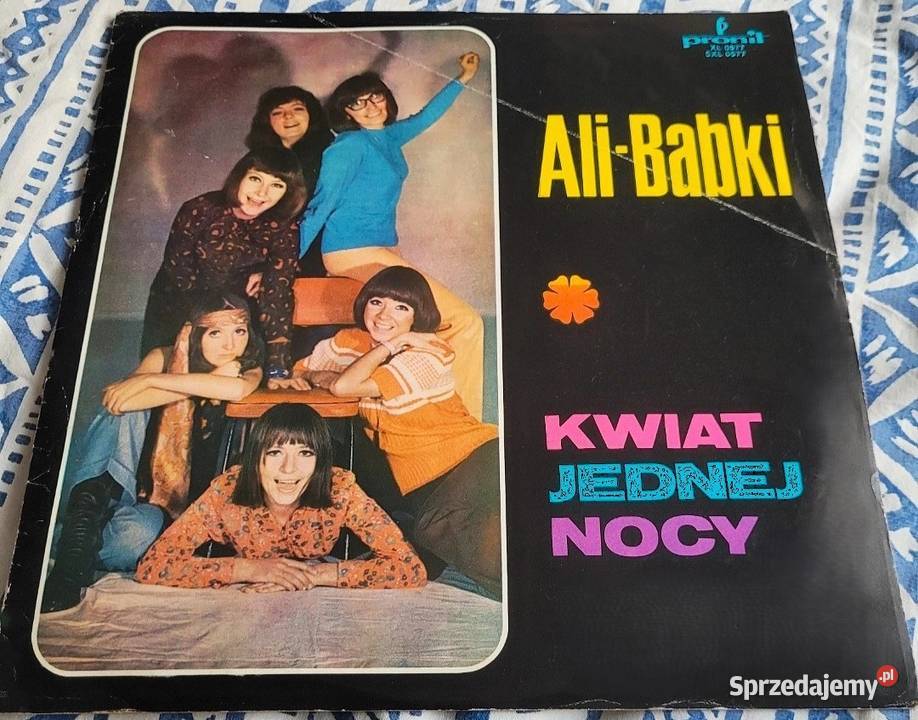 AliBabki Kwiat jednej nocy płyta winylowa z roku Chełmno