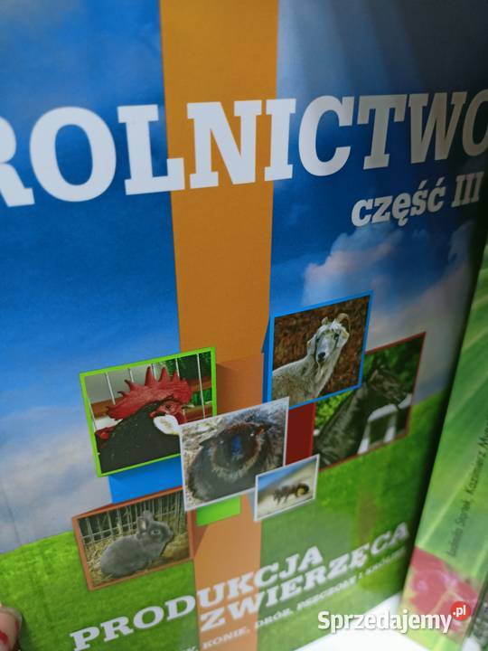 Produkcja zwierzęca Hortpress najtańsze tradycyjny podręcznik Warszawa