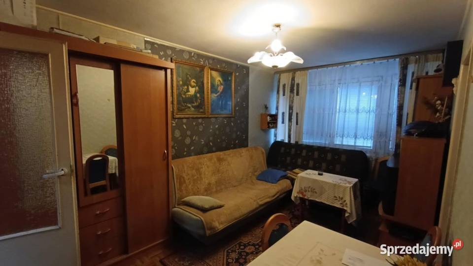 2pok 37met Ogrodu Botanicznego WINDA ZARAZ dolnośląskie Wrocław