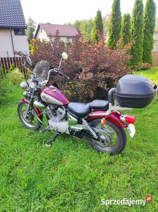 Yamaha Virago 125 Zarzecze