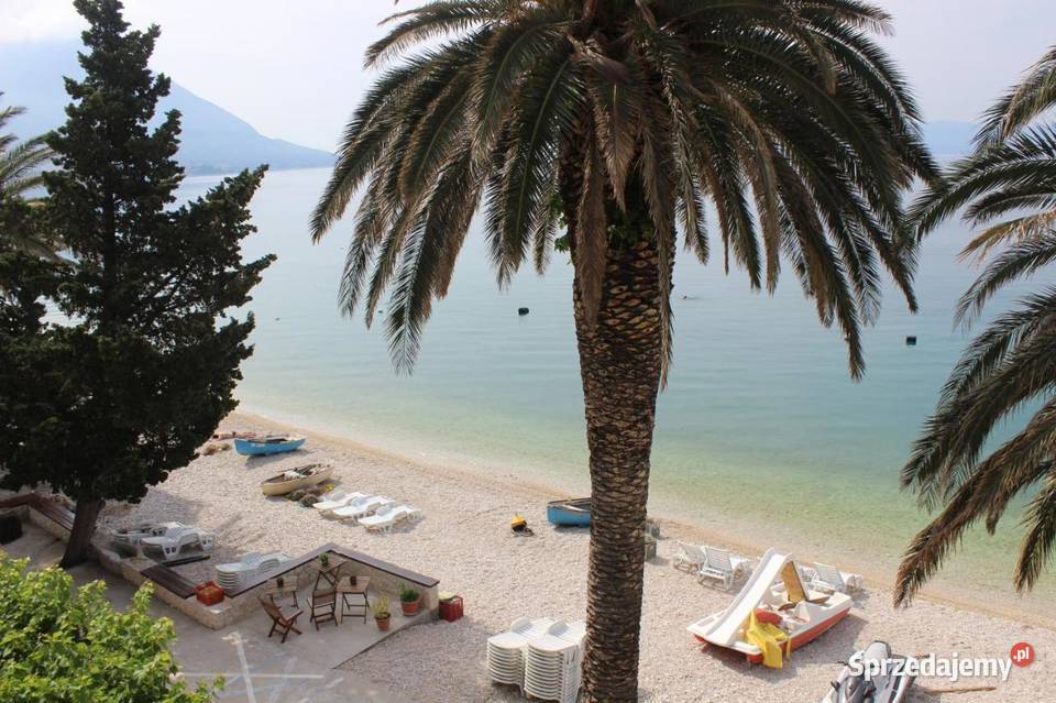 Albania Wczasy samolot Hb bufety hotel 4 plazy