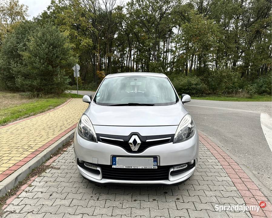 Renault Scenic 2013 Scenic Zaleszany