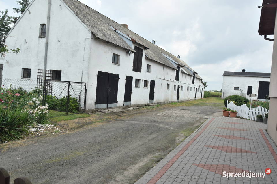 Sprzedam gospodarstwo rolne Wymokłe