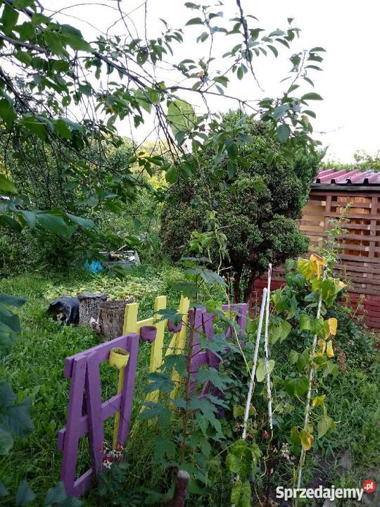 Ogródek Działkowy Hagera Zabrze RodSzarotka Grunty i działki