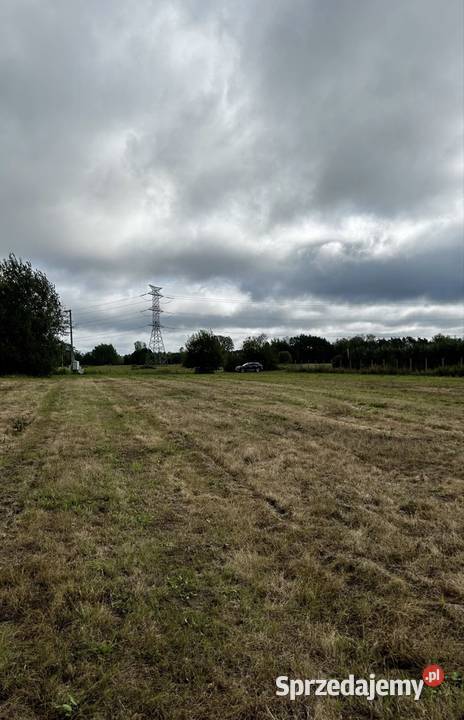 Bezpośrednio działka 3000 m z WZ DK50 polna mazowieckie Całowanie sprzedam